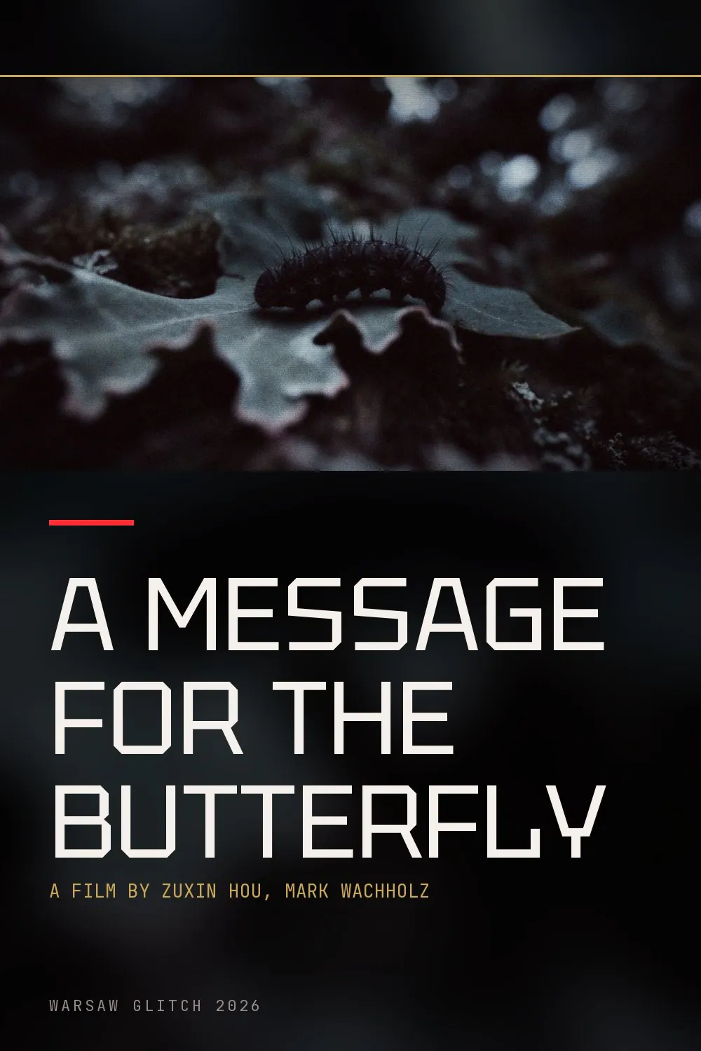A Message for the Butterfly