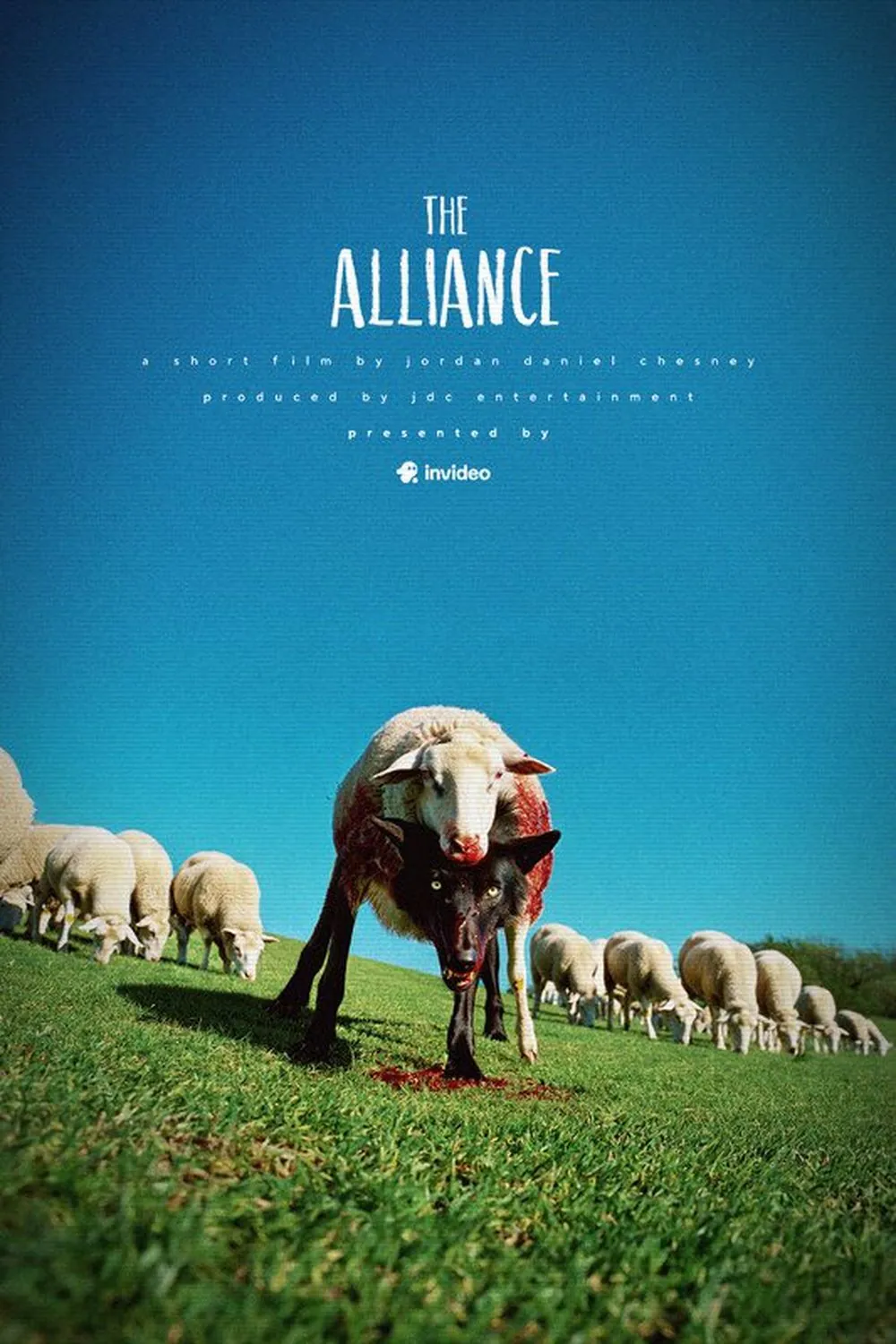 The Alliance